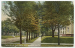 Kansas Avenue, Pittsburg, Kansas by S. H. Kress & Co