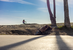 Venice Beach Dichotomy by Rion Huffman