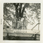Before Cato Centennial by Linda Wilson
