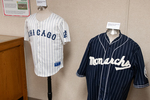 Chicago & Monarchs Jersey by Rafael Tourinho Machado DE Almeida