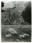 1943-1945; Bombing sites in France, Saint-Omer and Chartres. by Unknown