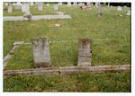 F 266 John D. Wayland (1821-1854) and Christopher Wayland (1852-1854) Headstones by Neet, Sharon E.