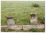 F 266 George W. Wayland (1851-1851) and Lydia Ann Wayland (1847-1854) Headstones by Neet, Sharon E.