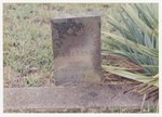 F 266 Lydia Ann Wayland (1847-1854) Headstone by Neet, Sharon E.