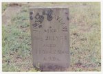 F 266 John D. Wayland (1821-1854) Headstone by Neet, Sharon E.