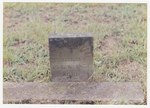 F 266 George W. Wayland (1851-1851) Headstone by Neet, Sharon E.