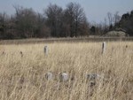 Distant view of several markers by Dan Knaup